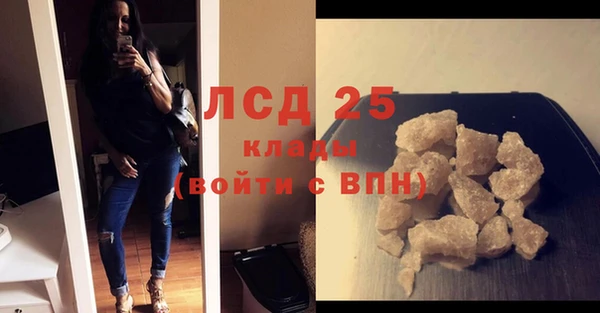 СК Елабуга
