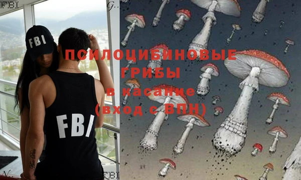 СК Елабуга