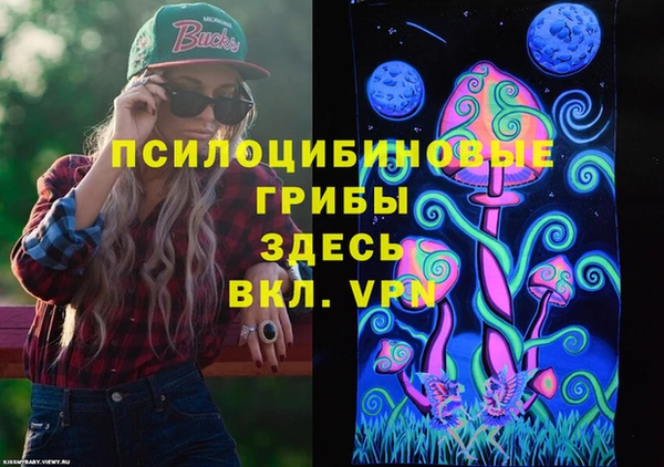 кокаин премиум Ельня