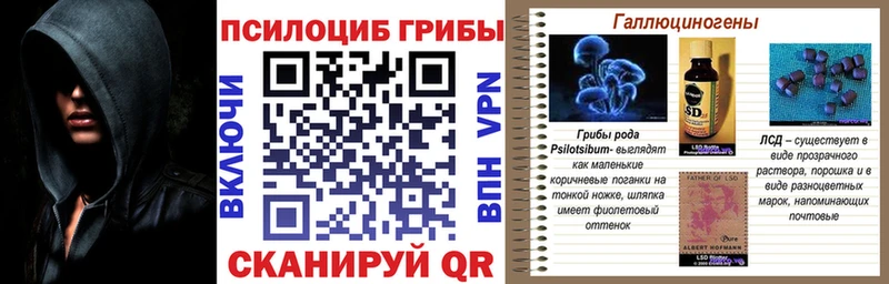 Галлюциногенные грибы ЛСД  Купить где  Зима 